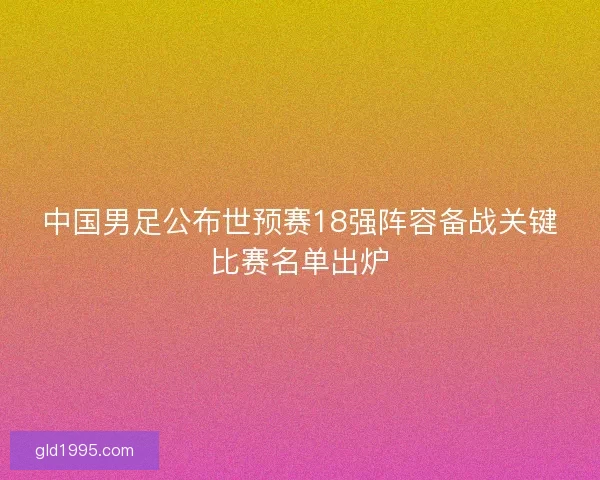 中国男足公布世预赛18强阵容备战关键比赛名单出炉